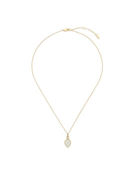 Fossil Kaklarota Fossil JF04248710 Zelta