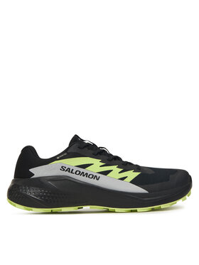 Salomon Взуття для бігу Salomon Alphaglide GORE-TEX L47802000 Чорний